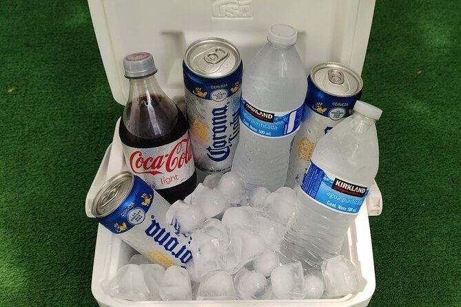 PVR VIP Round trip transfer Airport Conrad Punta Mita Airport - Authentic Feedback & Expectations