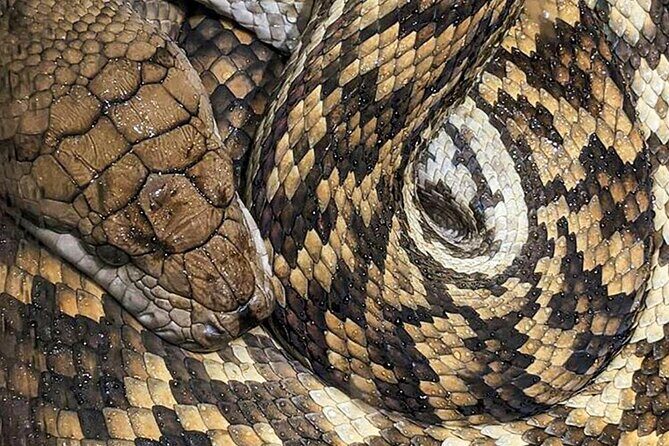 PVT Guided Tour: Sydney Opera House and Featherdale Wildlife Park - Final Thoughts