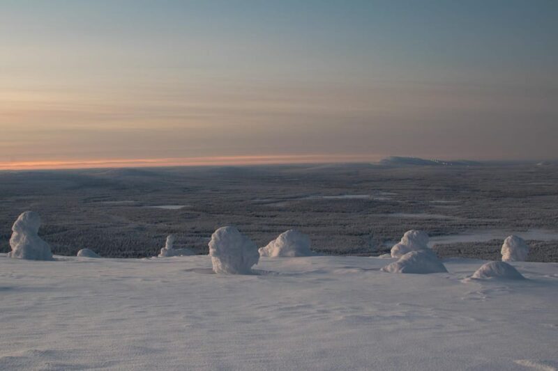 Pyhätunturi: Scenic Snowshoeing Tour in Finnish Lapland - What’s Included and Price Analysis  