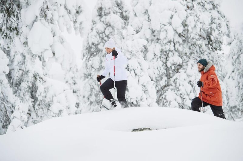Pyhätunturi: Scenic Snowshoeing Tour in Finnish Lapland - Who Will Find This Tour Most Attractive?  