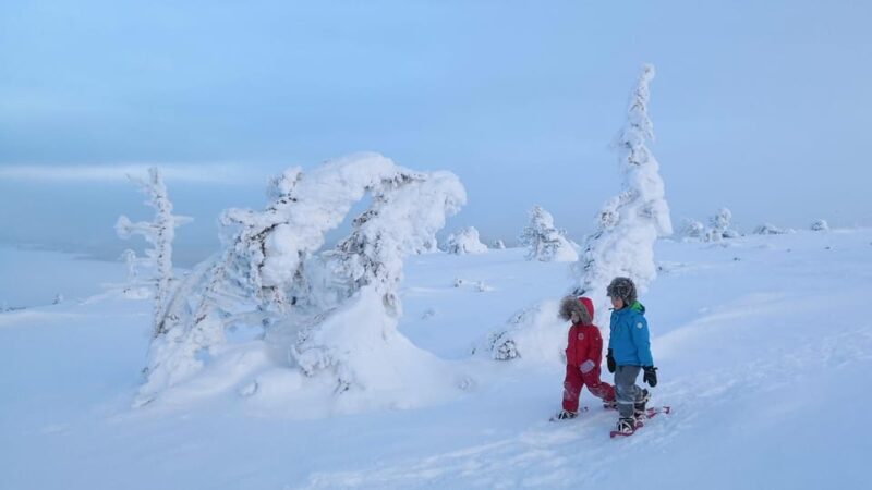 Pyhätunturi: Scenic Snowshoeing Tour in Finnish Lapland - The Sum Up  