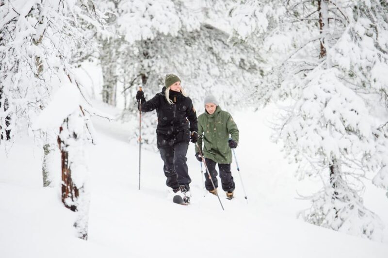 Pyhätunturi: Try Wilderness Skiing in Finnish Lapland - Meeting Points, Timing, and Practicalities