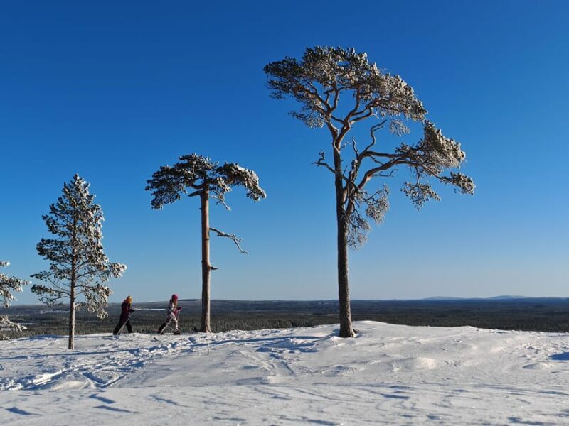 Pyhätunturi: Try Wilderness Skiing in Finnish Lapland - Final Thoughts: Is This Tour Right for You?