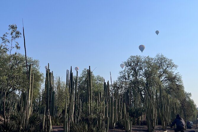 Pyramids + Cave Restaurant + Guadalupe's Basilica Private Tour - Who Will Enjoy This Tour?