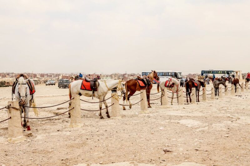 Pyramids of Giza and Great Sphinx: Private Half-Day Tour - Experience Highlights
