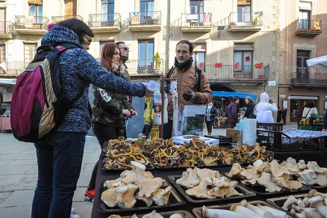 Pyrenees & Medieval Towns Small Group Tour from Barcelona - The Experience and Its Value