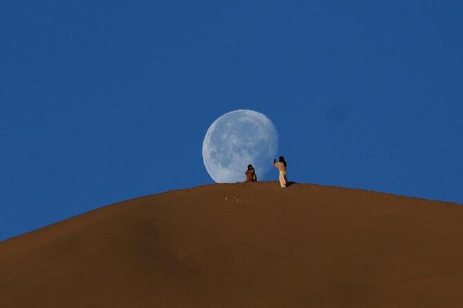 Qatar Desert Safari, Dune Bashing (Private Safari Tour) - Safety and Accessibility
