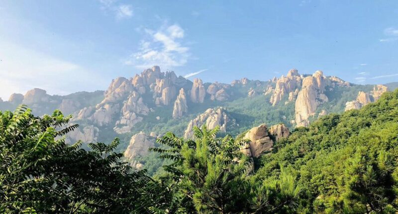 Qingdao: Private Day Tour to Laoshan Mountain With Cable Car - Tour Experience