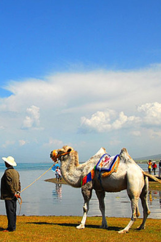 Qinghai Lake Day Tour With Private Transfer &Guide - Good To Know