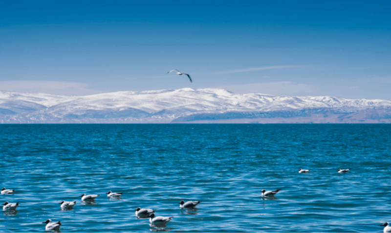 Qinghai Lake Day Tour With Private Transfer &Guide - Important Information