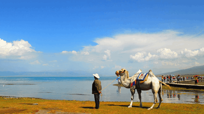 Qinghai Lake Day Tour With Private Transfer &Guide - Diversity of Qinghai Lake