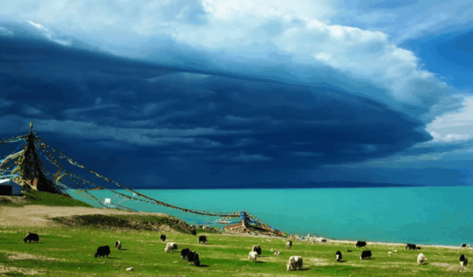 Qinghai Lake Day Tour With Private Transfer &Guide - Frequently Asked Questions