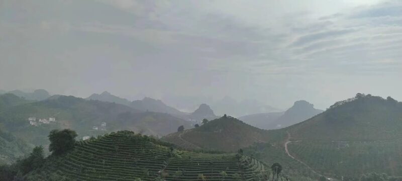 Qixianfeng Tea Plantation Tour in Yangshuo - Good To Know