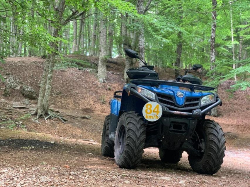 Quad Adventure - Mt. Faito & Vico Equense - Quad Biking Adventure