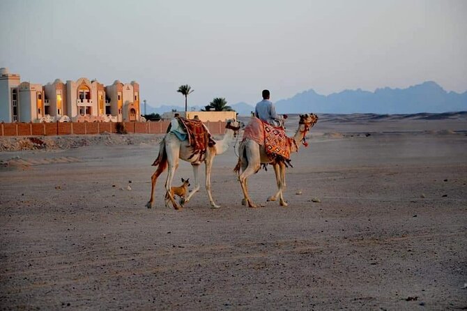 Quad Bike 3 Hours - Safety and Tips