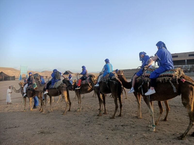 Quad Bike & Camel Ride Agafay Desert With Lunch - Camel Ride Experience and Insights