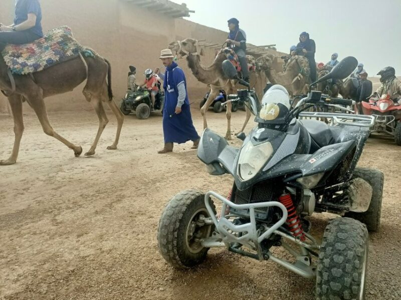 Quad Bike, Camel Ride & Hammam Massage - Inclusions and Itinerary