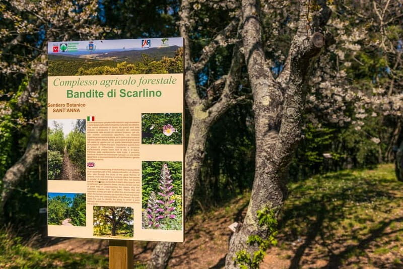 Quad bike excursion with BBQ in the Scarlino Woods - Who Would Love This Tour?