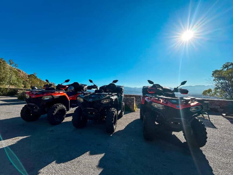 Quad Bike Tours in Palermo Adventure, Panoramas and Sicilian Flavors - Key Points
