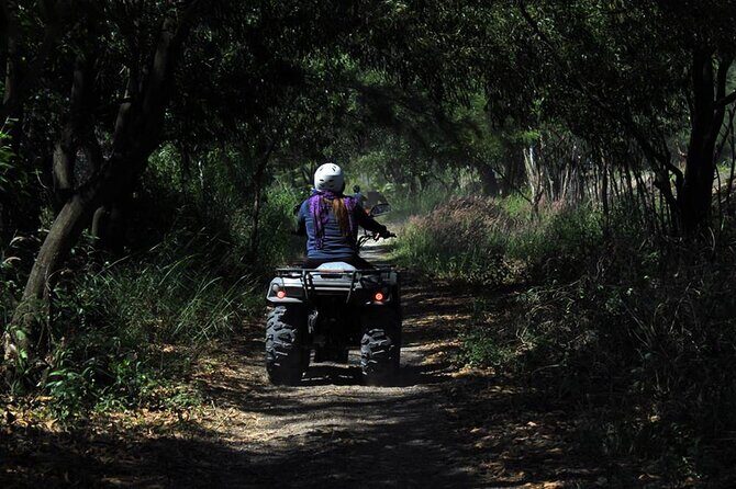 Quad Biking in Belek Forests & Taurus Mountains - Authentic Insights from Reviewers