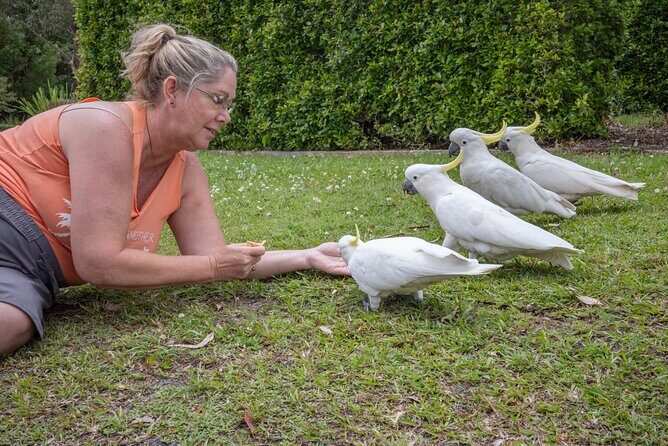 Quad Biking, Koalas and Kangaroos - Private Tour - Frequently Asked Questions