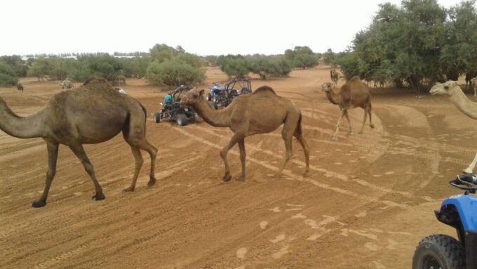 Quad Ride : Sand Dunes off Roads - Frequently Asked Questions