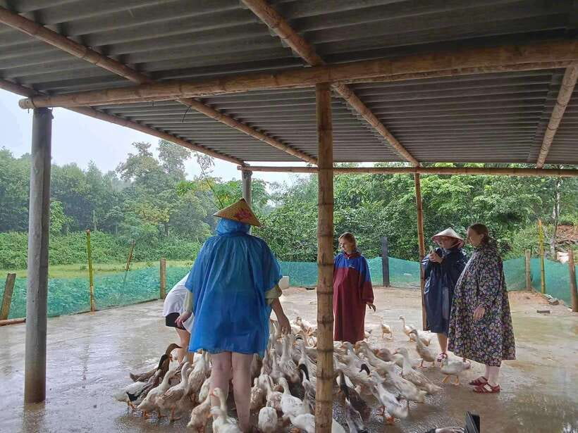 Quang Binh: Explore Phong Nha Cave and Experience Rural Life - Key Points