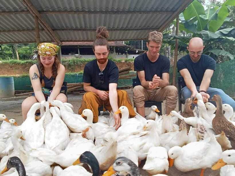 Quang Binh: Explore Phong Nha Cave and Experience Rural Life - Important Information and Recommendations