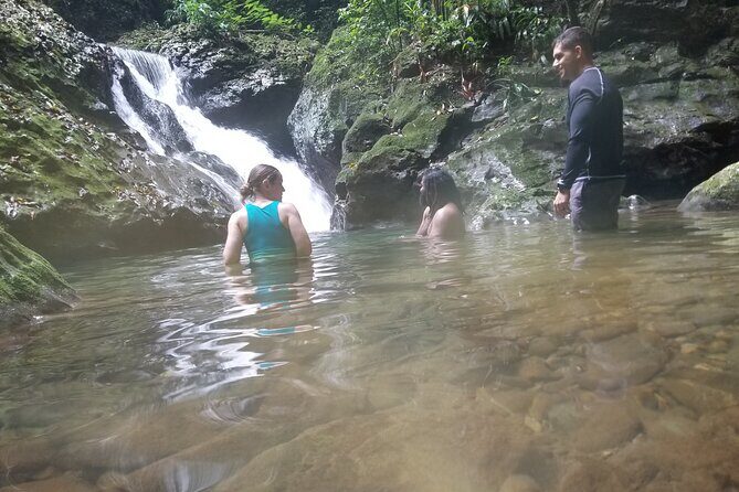 Quashie River Hiking in Cockpit Country Experience - Authentic Experiences & Real Value