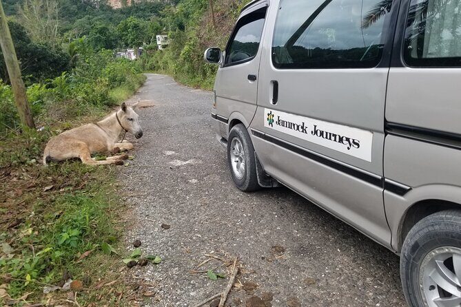 Quashie River Hiking in Cockpit Country Experience - Practical Details and Considerations