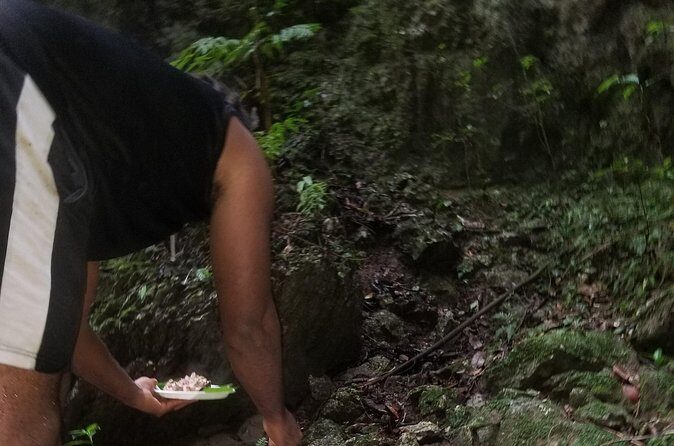 Quashie River Hiking in Cockpit Country Experience - FAQs