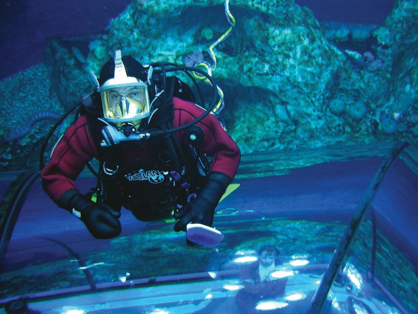 Quebec: Aquarium of Quebec Entry Ticket - Jellyfish and Seahorse Habitats