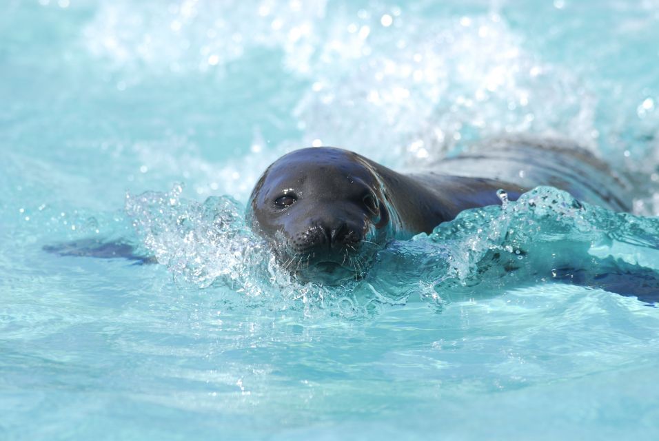 Quebec: Aquarium of Quebec Entry Ticket - Outdoor Trails and Facilities
