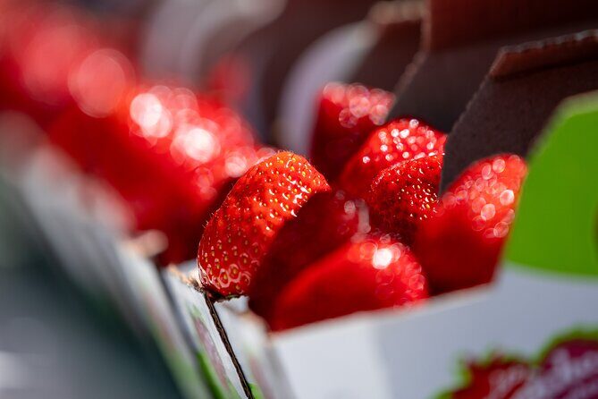 Quebec City - Agricultural Walking Tour on Ile d'Orléans - The Sum Up