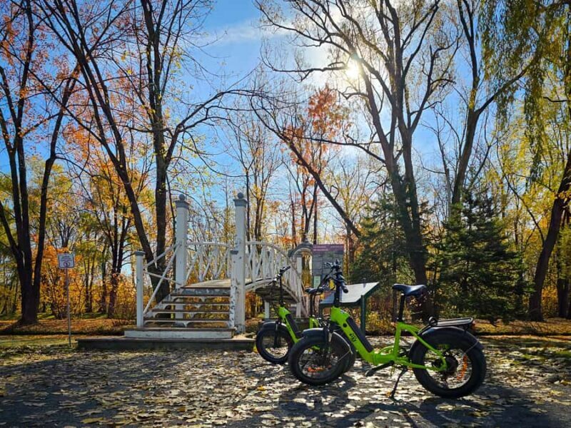 Quebec City: E-Bike Tour to Le Grand Marché - Food Scene - Authentic, Local Experiences That Matter