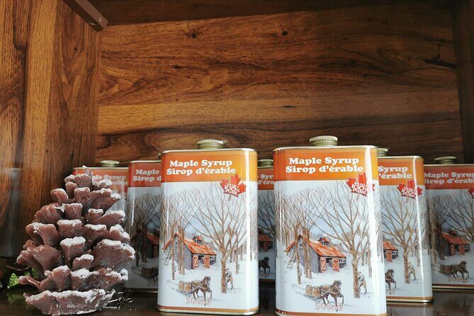 Quebec City - E-Tandem Rental on Ile d'Orléans - Who Would Love This?