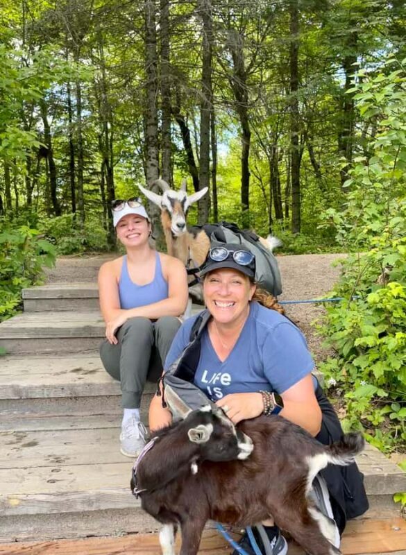 Quebec City: Guided Goat Hike & Beaver Dam Visit with Picnic - Key Points