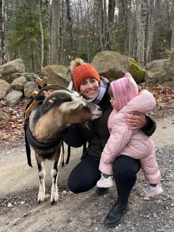 Quebec City: Guided Goat Hike & Beaver Dam Visit with Picnic - The Sum Up