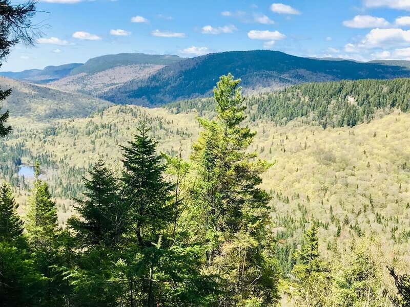 Quebec City: Guided Hike in Jacques-Cartier National Park - Evaluating the Value