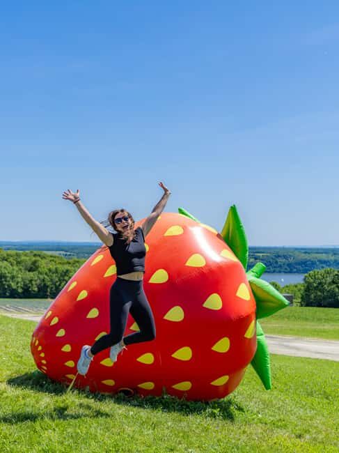 Quebec City: Ile d'Orléans Guided E-Bike Tour with Tastings - Key Points