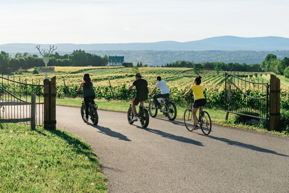 Quebec City: Ile D'orleans Guided E-Bike Tour With Tastings - Highlights of the E-Bike Tour