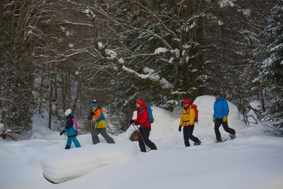 Quebec City: Jacques-Cartier National Park Snowshoeing Tour - Activity Details