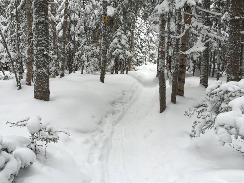 Quebec City: Jacques-Cartier National Park Snowshoeing Tour - Inclusions and Exclusions