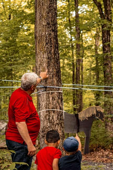 Quebec City (Lévis): self-guided sugar shack tour + meal + maple taffy - Key Points