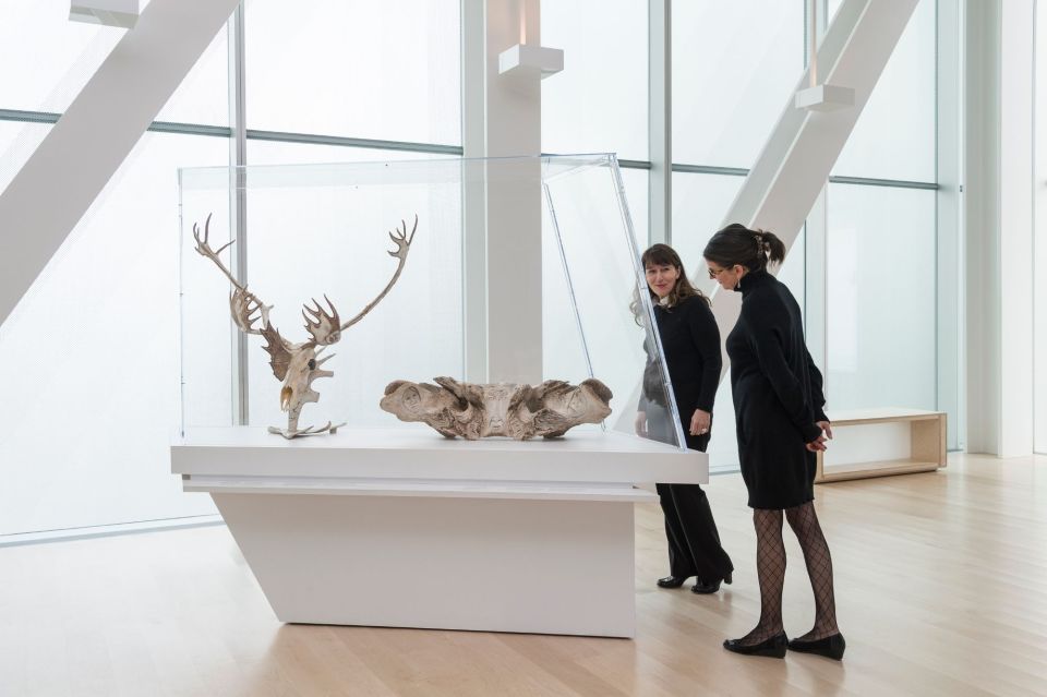 Quebec City: MNBAQ National Fine Arts Museum Entry Ticket - Upcoming Blockbuster Exhibitions