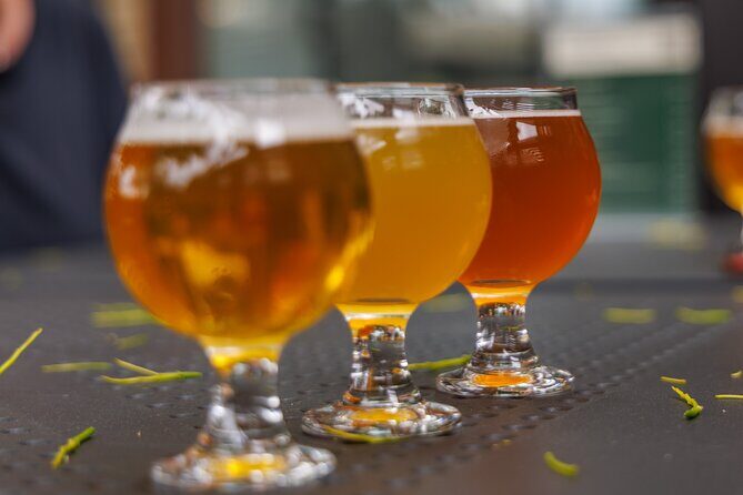 Quebec City: Montmorency Falls and Microbrewery eBike Tour - The Final Word: Who Will Love This Tour?