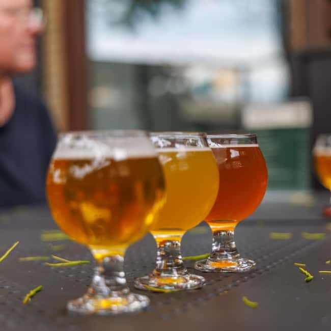 Quebec City: Montmorency Falls and Microbrewery eBike Tour - Authentic Insights from Reviews