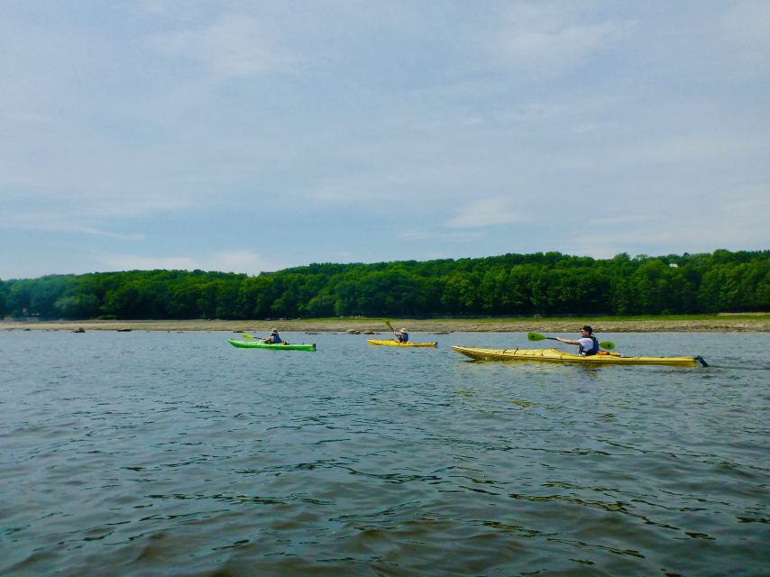 Quebec City: Sea-Kayaking Tour in Orleans Island - Included in the Tour