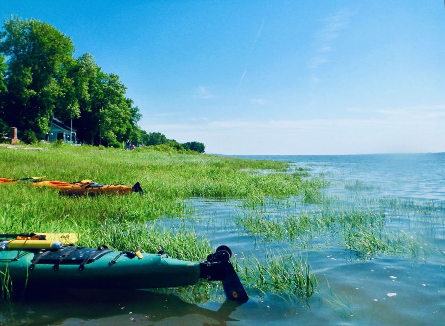 Quebec City: Sea-Kayaking Tour in Orleans Island - Participant Restrictions