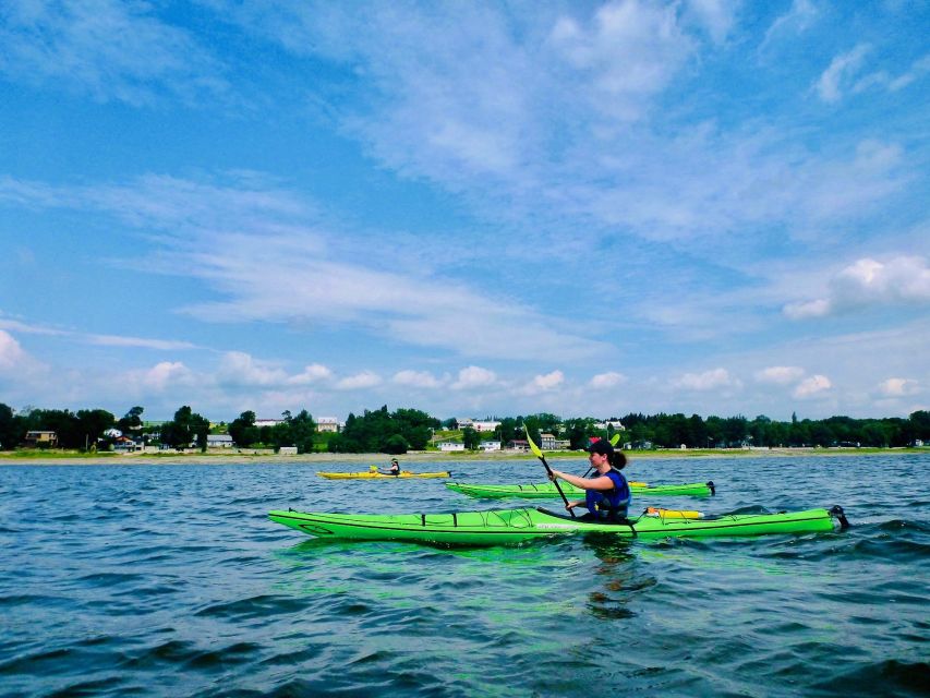 Quebec City: Sea-Kayaking Tour in Orleans Island - Frequently Asked Questions